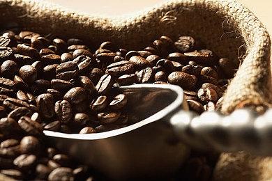 《艾尔登法环》黄金树之影是目前唯一DLC 宫崎英高：未来或有更多想法