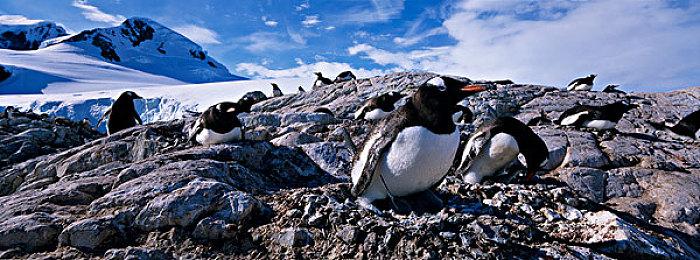 欧洲议会呼吁制定新规则 以更好地保护游戏消费者